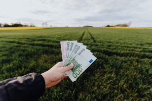 Hand houdt geld briefjes vast voor een groen weiland